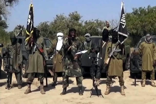 Terrorists in Sambisa forest